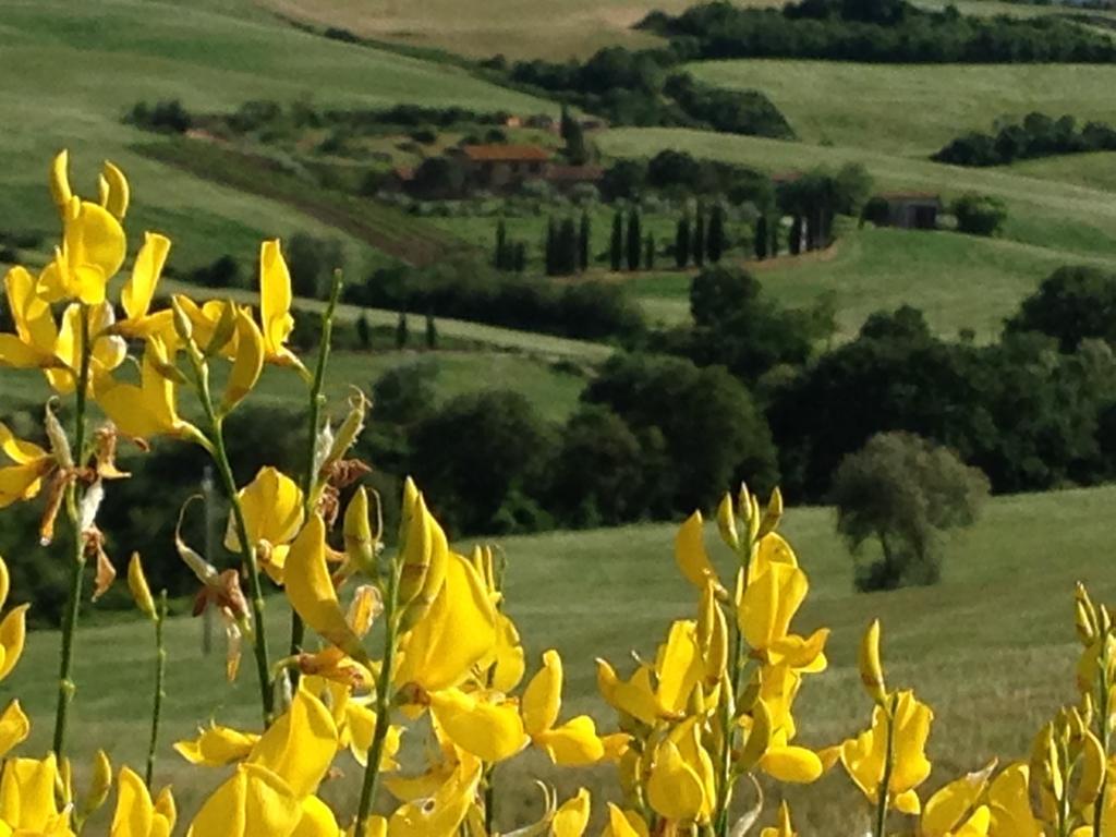 Agriturismo Santa Maria Pienza Exterior foto